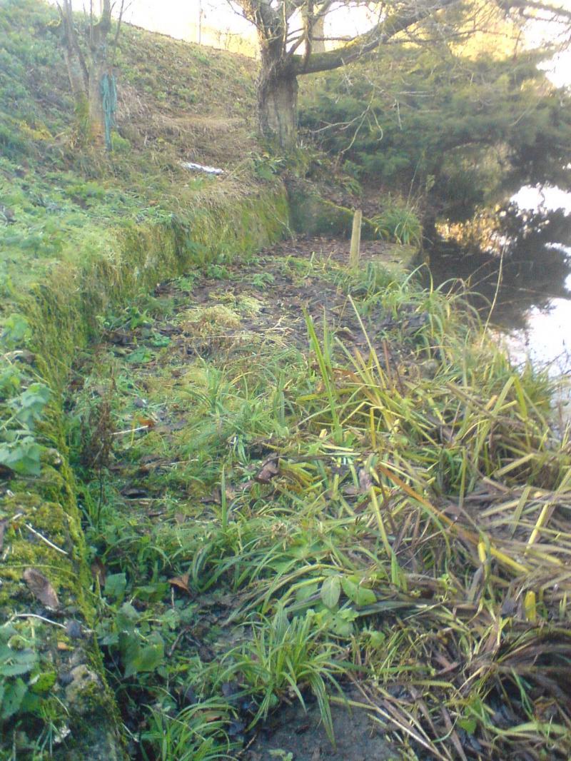 pic 1 Fishponds Farm Before