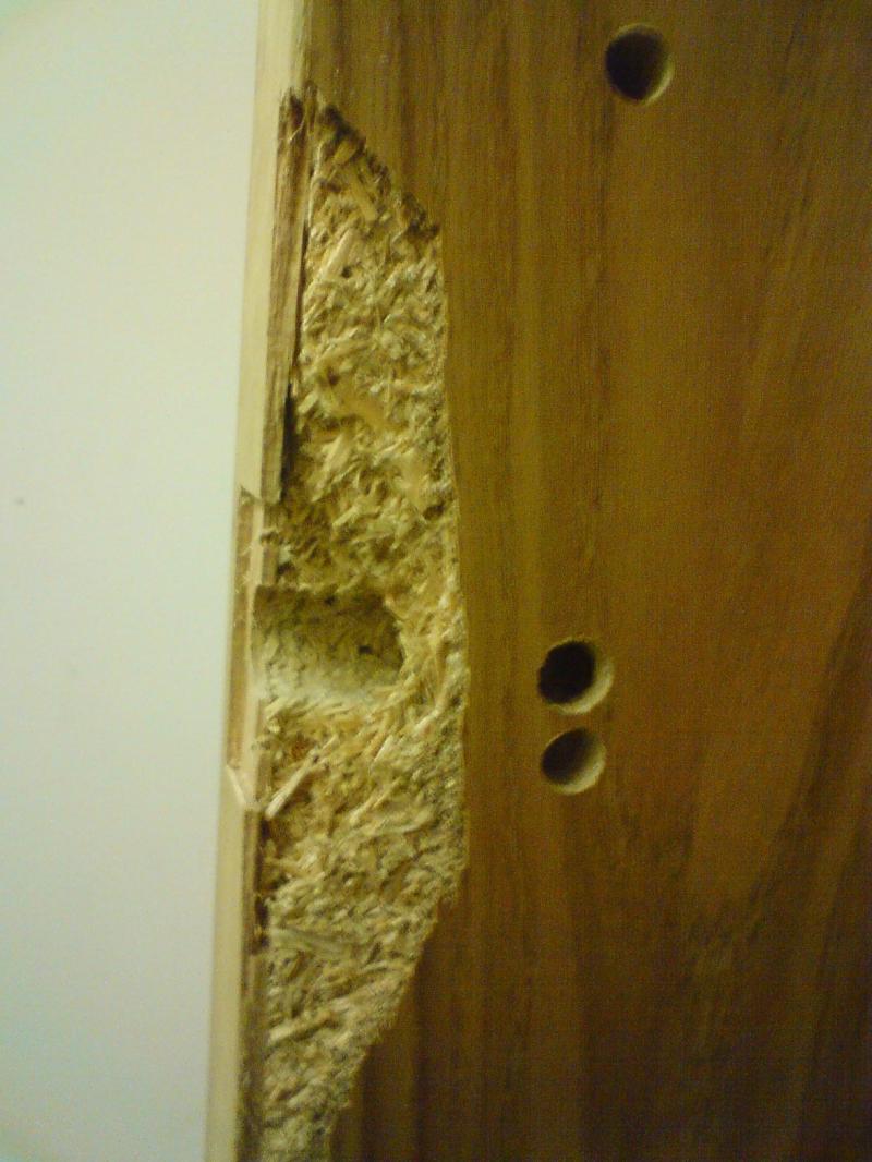Epsom Fire Door replacement Sept 2010